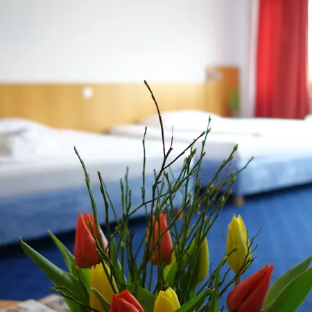 Hotel Plaza Nord 3*